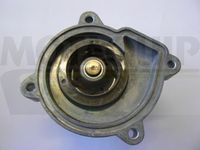 MOTAQUIP VWP866 - Bomba de agua, refrigeración del motor