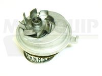 MOTAQUIP VWP331 - Bomba de agua, refrigeración del motor