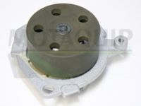 MOTAQUIP VWP674 - Bomba de agua, refrigeración del motor