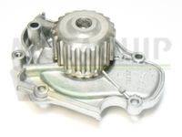 MOTAQUIP VWP486 - Bomba de agua, refrigeración del motor