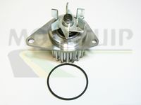 MOTAQUIP VWP497 - Bomba de agua, refrigeración del motor