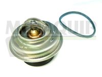 GATES TH05586G1 - Termostato, refrigerante