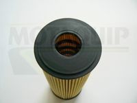 MOTAQUIP VFL367 - Filtro de aceite