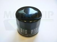 MOTAQUIP VFL202 - Filtro de aceite