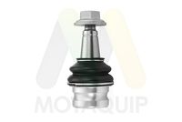 MOTAQUIP LVSJ1247 - Rótula de suspensión/carga