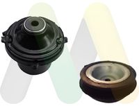 MOTAQUIP LVSM1019 - Kit reparación, apoyo columna amortiguación