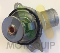 MOTAQUIP LVTK219 - Termostato, refrigerante