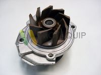 MOTAQUIP LVWP995 - Bomba de agua, refrigeración del motor