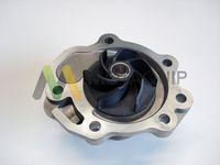 MOTAQUIP LVWP999 - Bomba de agua, refrigeración del motor