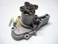 MOTAQUIP LVWP977 - Bomba de agua, refrigeración del motor