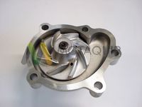 MOTAQUIP LVWP962 - Bomba de agua, refrigeración del motor