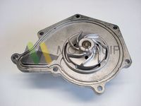 MOTAQUIP LVWP965 - Bomba de agua, refrigeración del motor