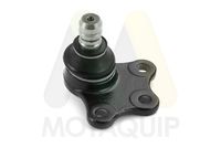 MOTAQUIP LVSJ1183 - Rótula de suspensión/carga