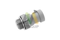 MOTAQUIP LVRF371 - Interruptor de temperatura, ventilador del radiador