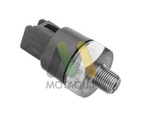 MOTAQUIP LVRP302 - Interruptor de control de la presión de aceite