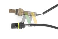 MOTAQUIP LVOS1764 - Sonda Lambda