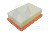 MOTAQUIP LVFA1748 - Filtro de aire