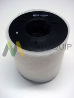 MOTAQUIP LVFA1434 - Filtro de aire