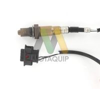 MOTAQUIP LVOS1117 - Sonda Lambda
