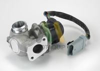 MOTAQUIP LVER256 - Válvula EGR
