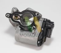 MOTAQUIP LVER289 - Válvula EGR
