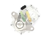 MOTAQUIP LVER274 - Válvula EGR