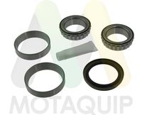 MOTAQUIP LVBW397 - Juego de cojinete de rueda