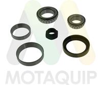 MOTAQUIP LVBW709 - Juego de cojinete de rueda