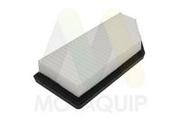 MOTAQUIP LVFA1755 - Filtro de aire