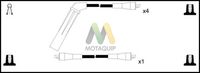 MOTAQUIP LDRL1178 - Juego de cables de encendido