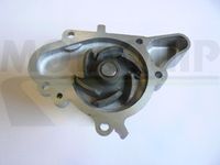 MOTAQUIP VWP873 - Bomba de agua, refrigeración del motor