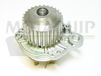 MOTAQUIP VWP764 - Bomba de agua, refrigeración del motor
