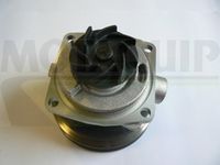 LUCAS LAWP0842 - Bomba de agua, refrigeración del motor