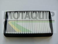 MOTAQUIP VFA1178 - Filtro de aire