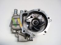 MOTAQUIP LVWP976 - Bomba de agua, refrigeración del motor