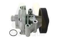 MOTAQUIP LVWP1100 - Bomba de agua, refrigeración del motor