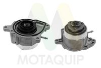 MOTAQUIP LVWP1041V - Bomba de agua, refrigeración del motor
