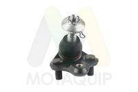 MOTAQUIP LVSJ1287 - Rótula de suspensión/carga