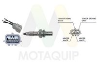 MOTAQUIP LVOS2059 - Sonda Lambda