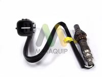 MOTAQUIP LVOS1562 - Sonda Lambda