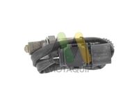 MOTAQUIP LVOS1785 - Sonda Lambda