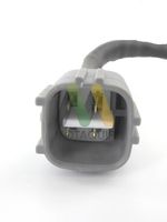 MOTAQUIP LVOS1194 - Sonda Lambda