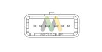 MOTAQUIP LVMA315 - Medidor de la masa de aire