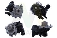 MOTAQUIP LVWP1102 - Bomba de agua, refrigeración del motor