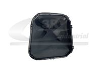 3RG 25547 - Revestimiento de la palanca de cambio