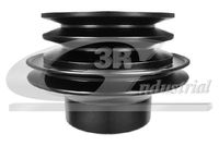 3RG 10507 - Polea, cigüeñal