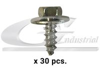3RG 86113 - Tornillo