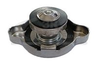 3RG 65601 - Tapa, radiador