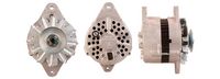 DRI 224001502 - Alternador