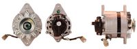 DRI 227007402 - Alternador